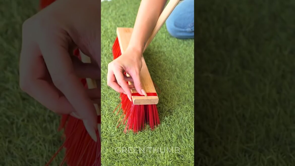 5 Genius Gardening Hacks You've Never Seen Before 🌼