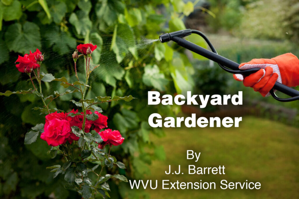 Backyard Gardener: Spinosad for natural pest control | News, Sports, Jobs Backyard Gardener: Spinosad for natural pest control | News, Sports, Jobs