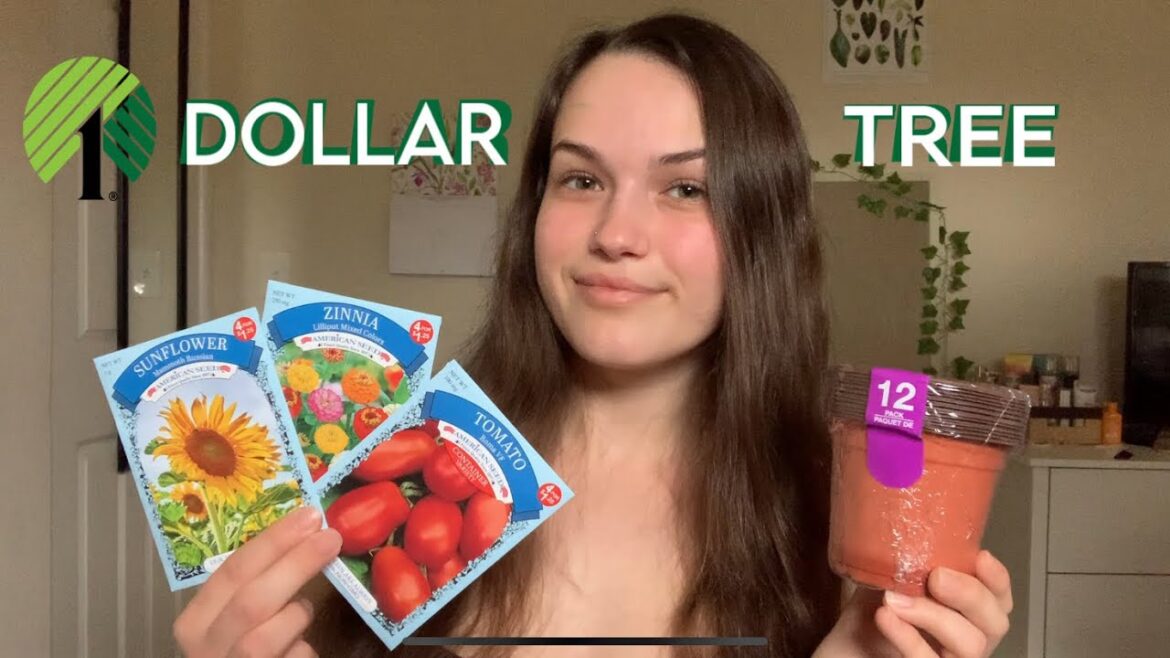 Dollar Tree Garden Supplies Haul