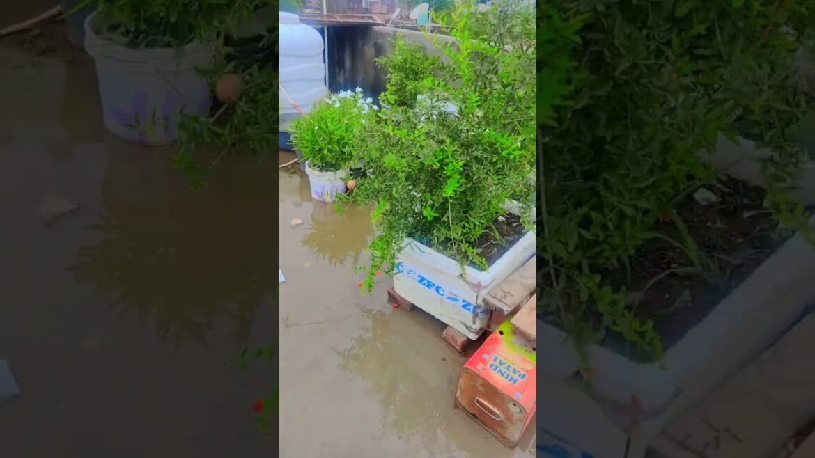 jada rone wali ladkiyo ka swabhav kaisa hota h #shorts #viralshorts #viralvideo #youtubeshorts jada rone wali ladkiyo ka swabhav kaisa hota h #shorts #viralshorts #viralvideo #youtubeshorts