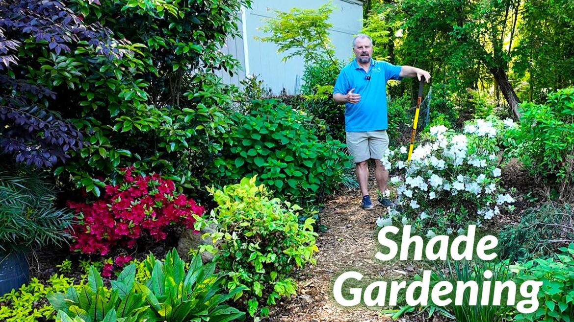 Our Evolving Shade Garden - Garden Design