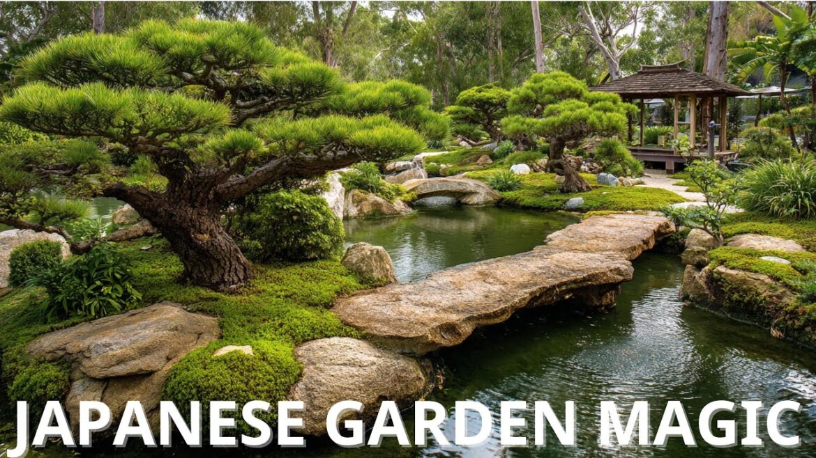 Japanese Garden Design Ideas That Heal the Soul | Peaceful Outdoor Inspiration Japanese Garden Design Ideas That Heal the Soul | Peaceful Outdoor Inspiration