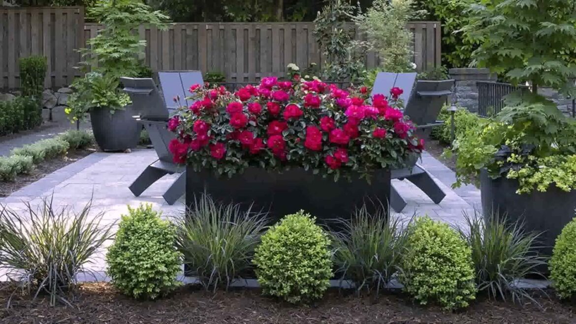 Front Yard Landscaping Ideas Flowers