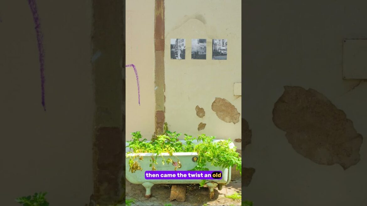 Turning an Old Bathtub into a Stunning Zen Planter! #backyard #garden #diy #gardening #patio