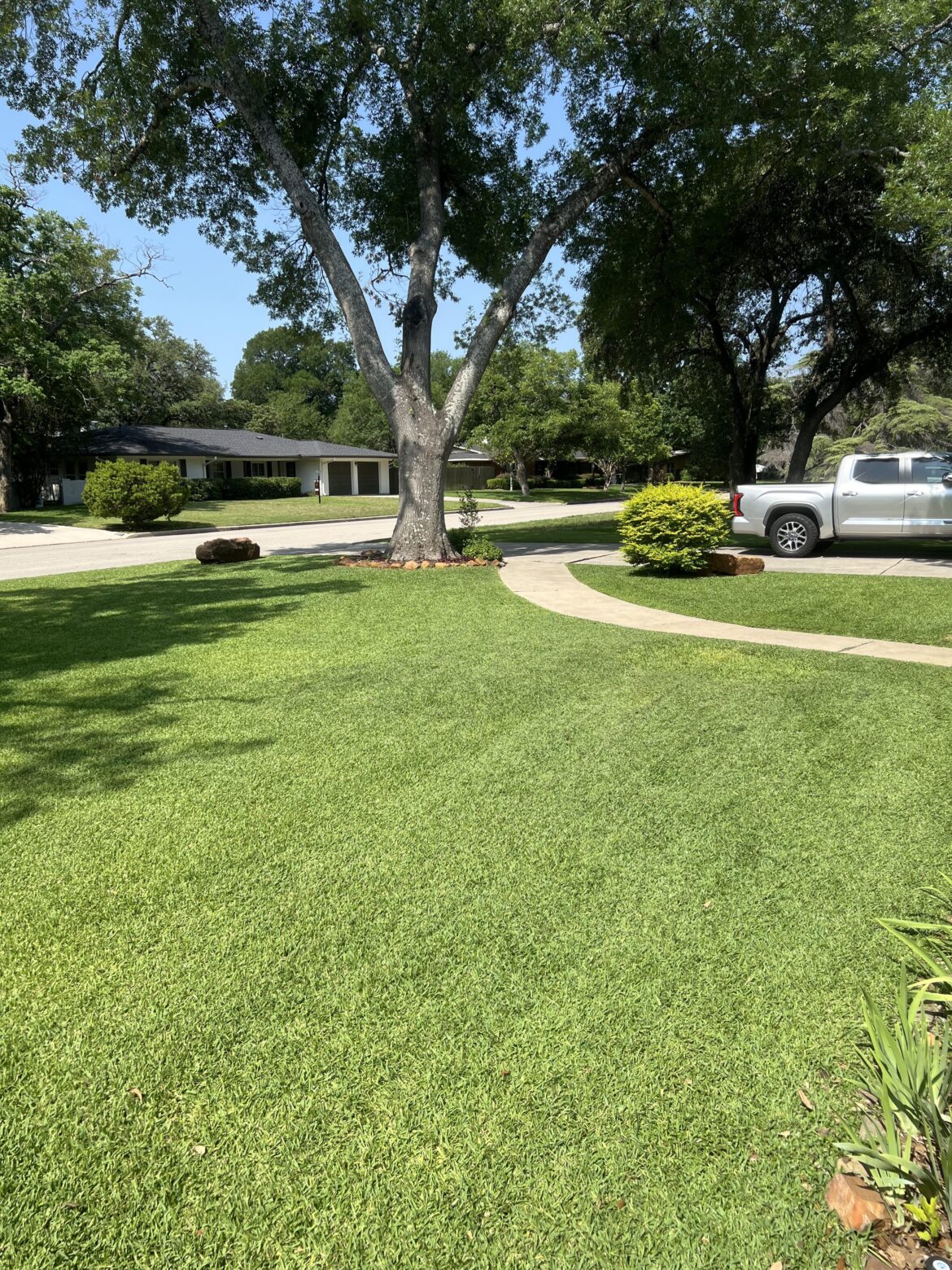 Finally got her looking good!