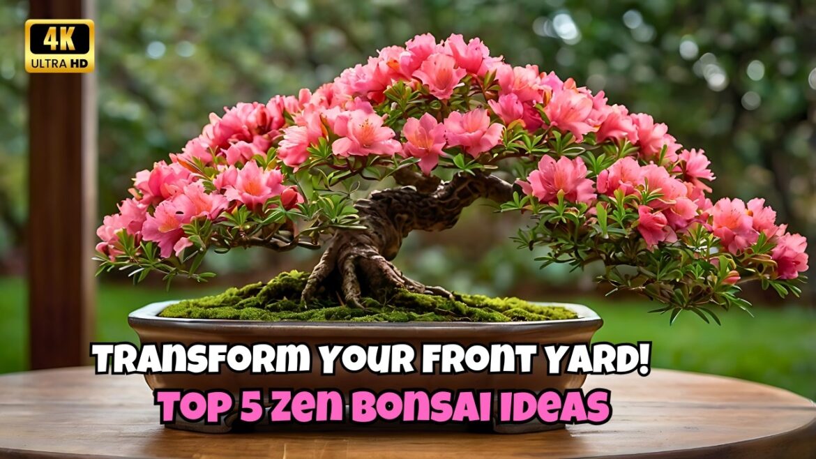 Transform Your Front Yard with These 5 Zen Bonsai Landscaping Ideas Transform Your Front Yard with These 5 Zen Bonsai Landscaping Ideas