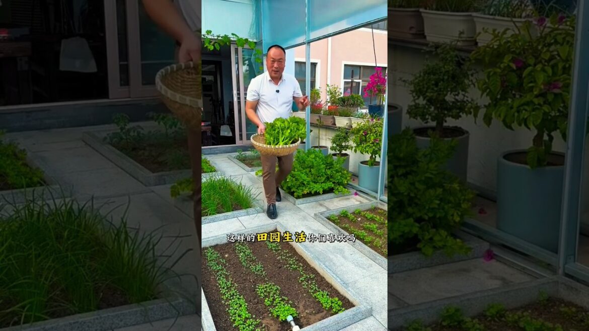 I collect fresh eggs along with fresh vegetables #shots #youtubeshorts