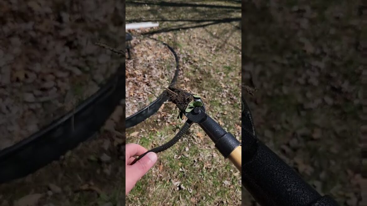 Effortless weeding with the pro's tool #gardener #gardening
