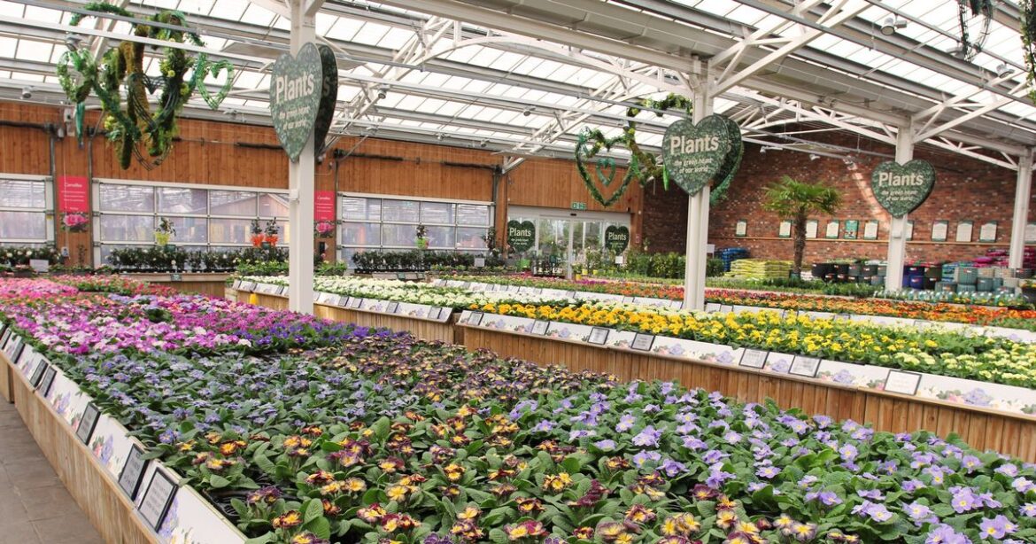 Owners of award-winning garden centre known for its lavish displays take ‘difficult decision’ to sell up Ipso logo