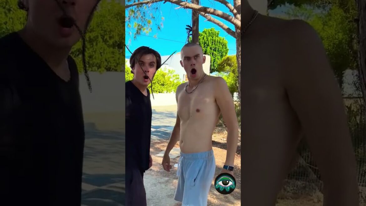 A watermelon growing on a TREE?! You won’t believe your eyes! 🍉 A watermelon growing on a TREE?! You won’t believe your eyes! 🍉