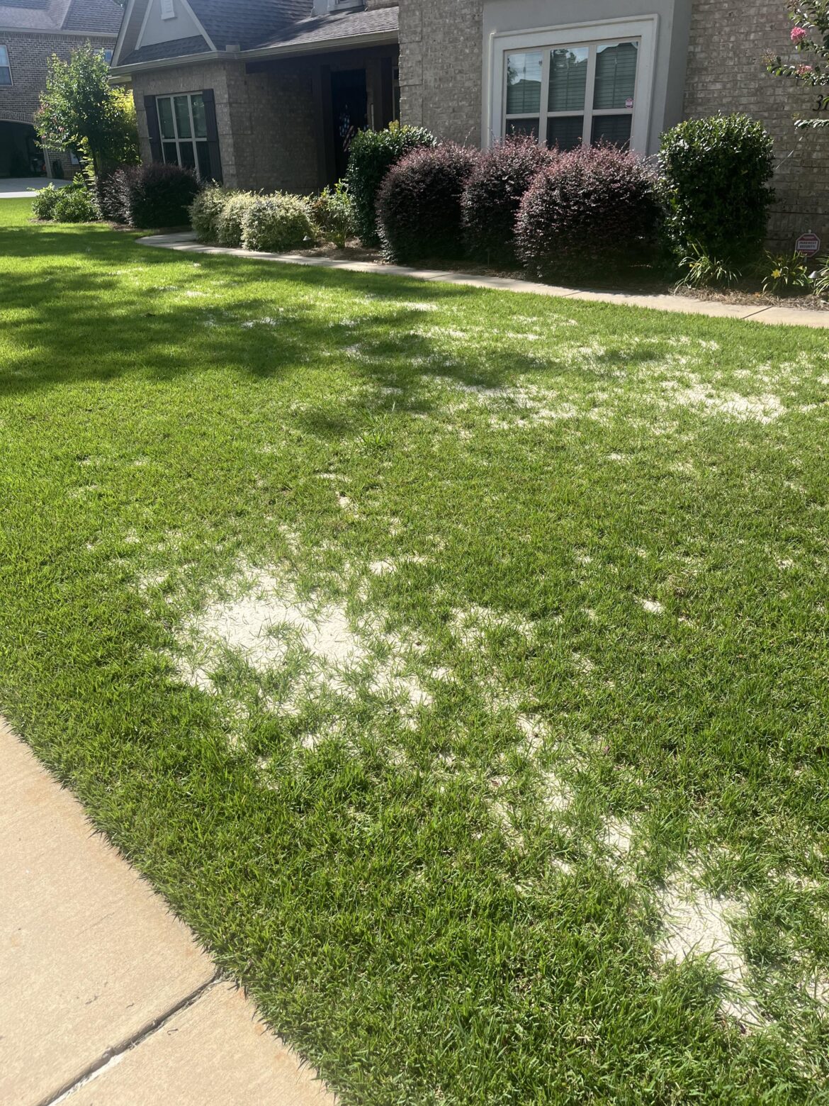 Why the sand in the yards? [Middle GA]