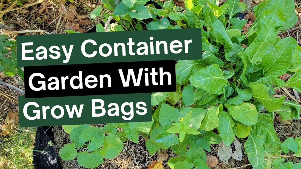 How To Start A Container Garden with Grow Bags | Filling 100 Gallon Grow Bags Cheap
