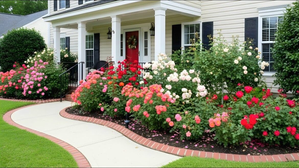 From Soil to Soul: Front Yard Garden Designs on a Budget: Genius Curb Appeal Hacks That Work! From Soil to Soul: Front Yard Garden Designs on a Budget: Genius Curb Appeal Hacks That Work!