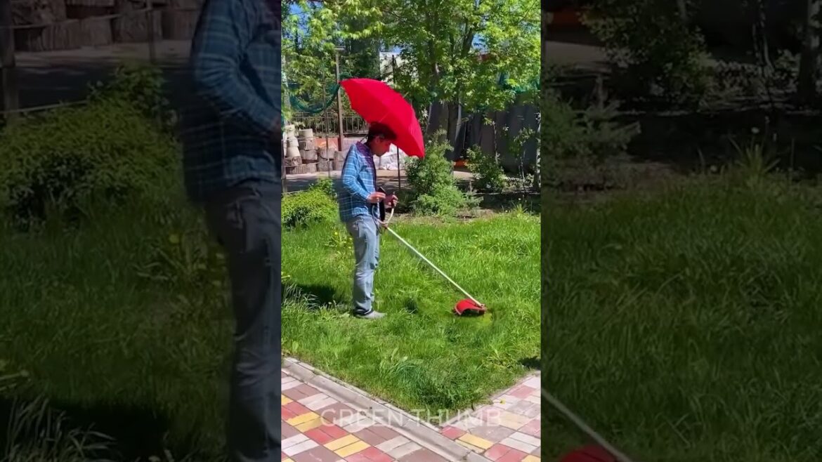 Mind-Blowing Gardening Tricks You Haven't Tried 🌿