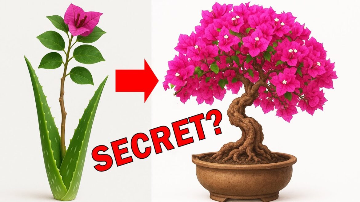 Best Time to Boost Flower Growth for Year Round Bloom  Gardening Tips for All Seasons