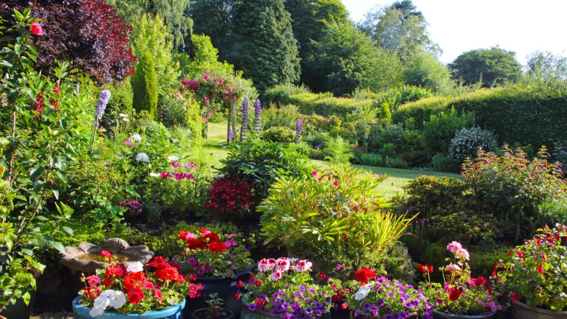 Why you should let grass go brown & 6 other ways to summer proof your garden without splashing out - including 60p hack