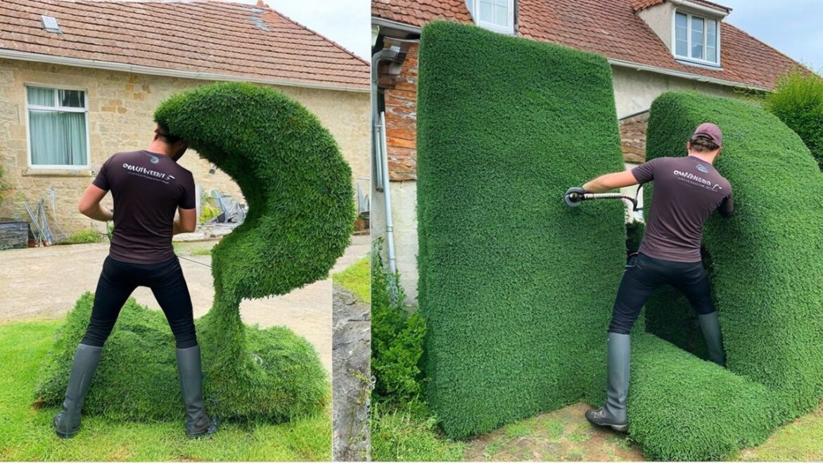 Watch This Satisfying Garden Transformation – Relax & Enjoy! 🌳