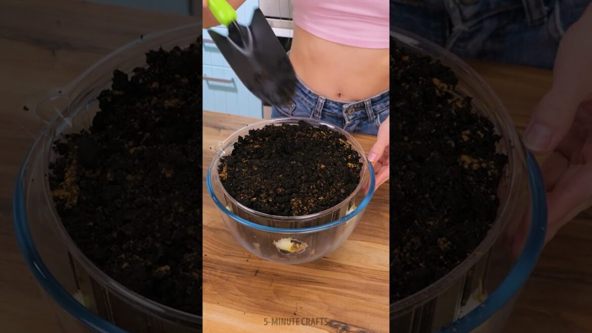 Budget-friendly garden tips for every season 🌻💵 Budget-friendly garden tips for every season 🌻💵