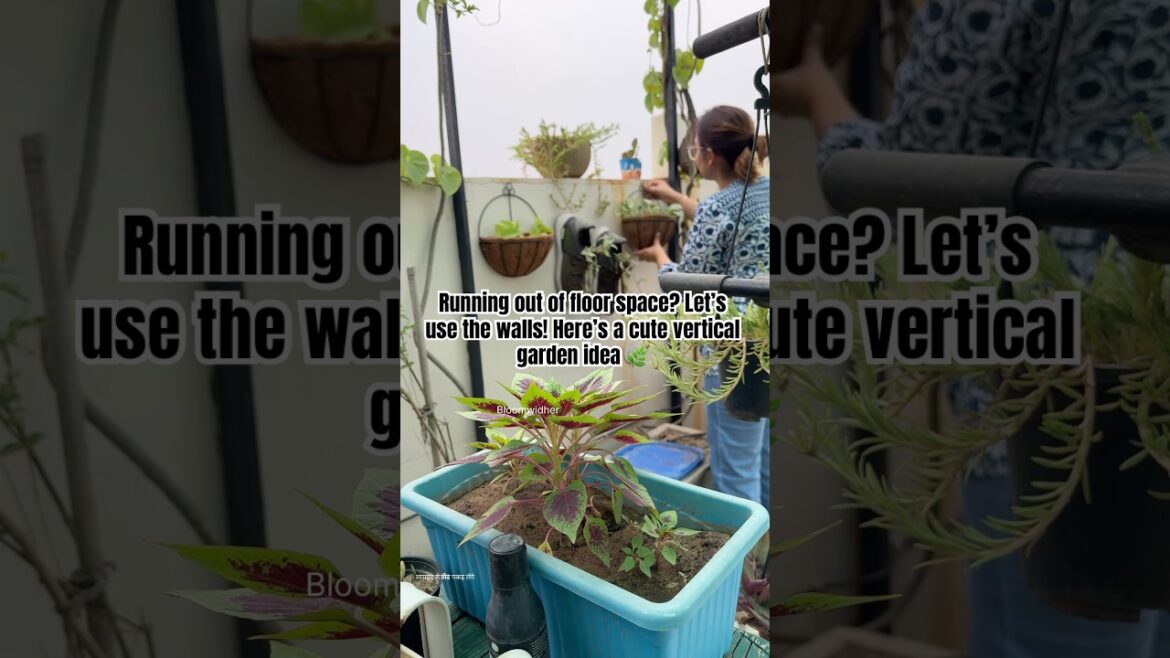 Easy Vertical Garden with Cuttings | Small Space Gardening Hack 🌿 #shorts #gardening Easy Vertical Garden with Cuttings | Small Space Gardening Hack 🌿 #shorts #gardening
