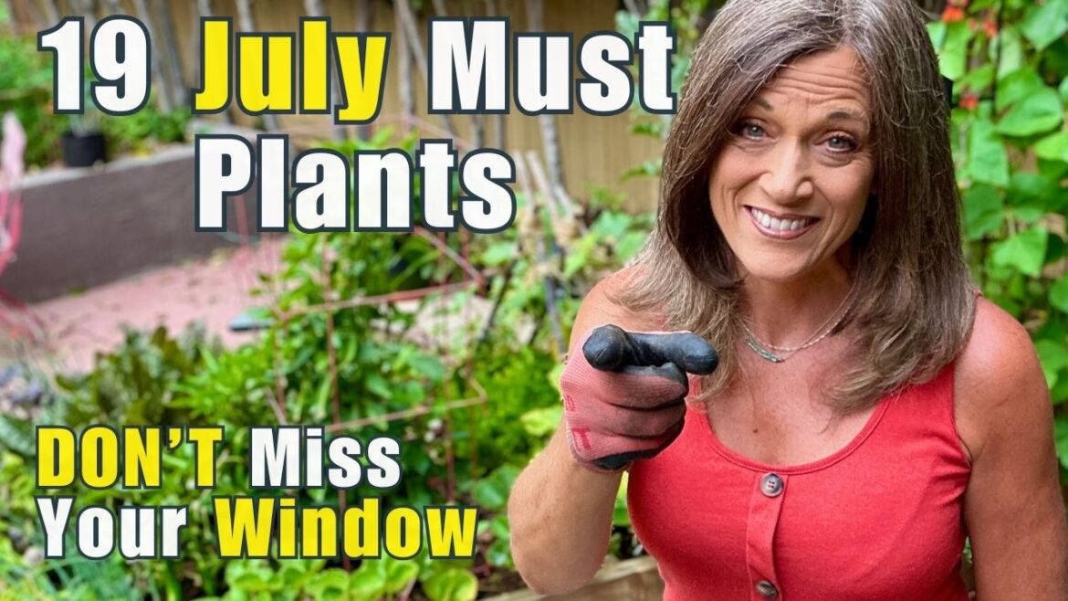 19 MUST-Plant July Crops: LAST CHANCE Before Summer Veggies Are Gone