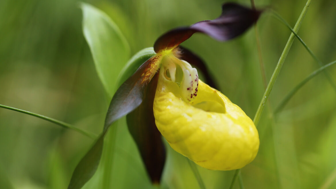 "We've got to keep it guarded for now."