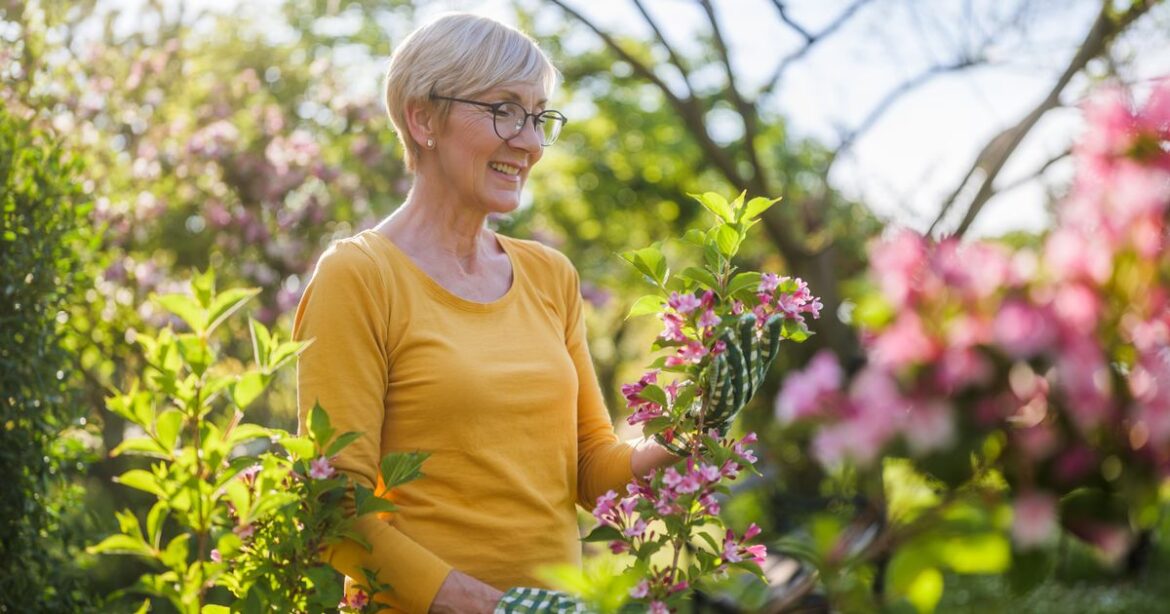 Gardeners urged to put bed sheet in garden during current US heatwave trust project logo