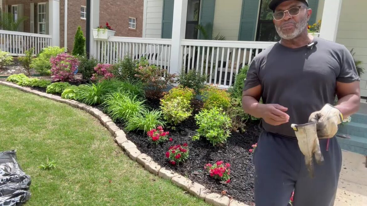 TRANSFORM YOUR FRONT YARD ON A BUDGET   I  STUNNING CURB APPEAL