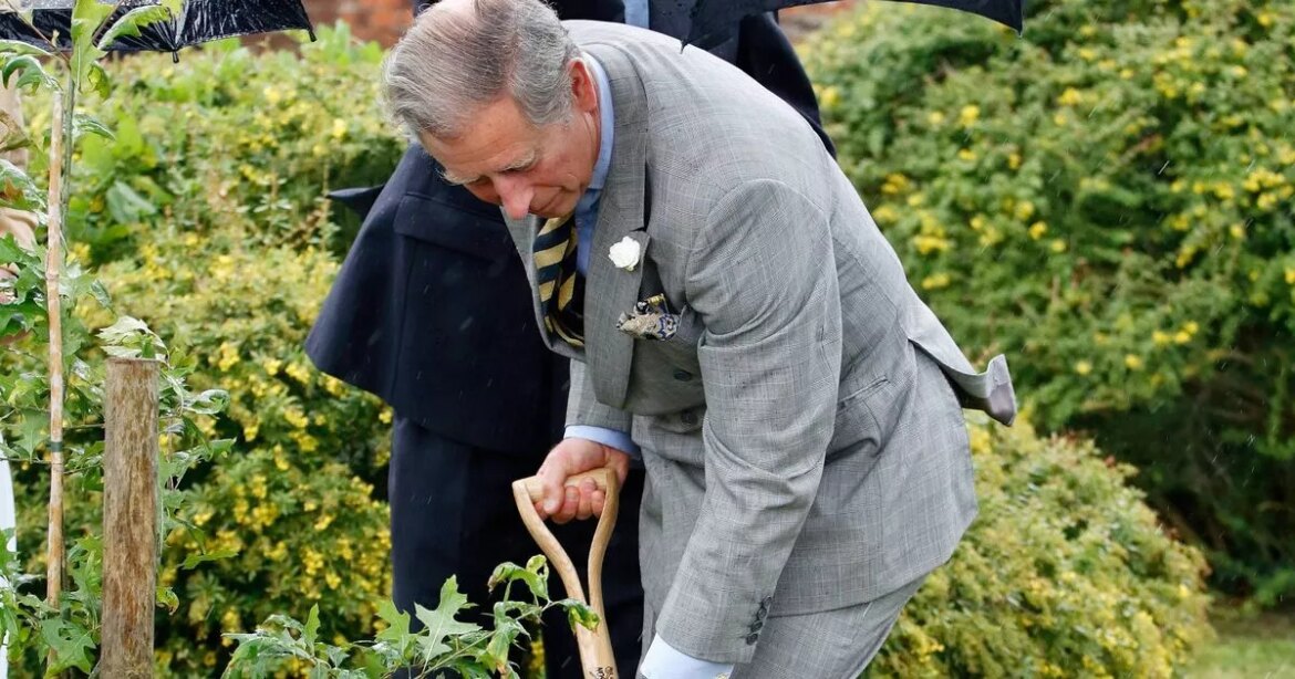 Gardeners’ World’s Adam Frost shares true thoughts on King Charles after ‘cheeky’ request Ipso logo