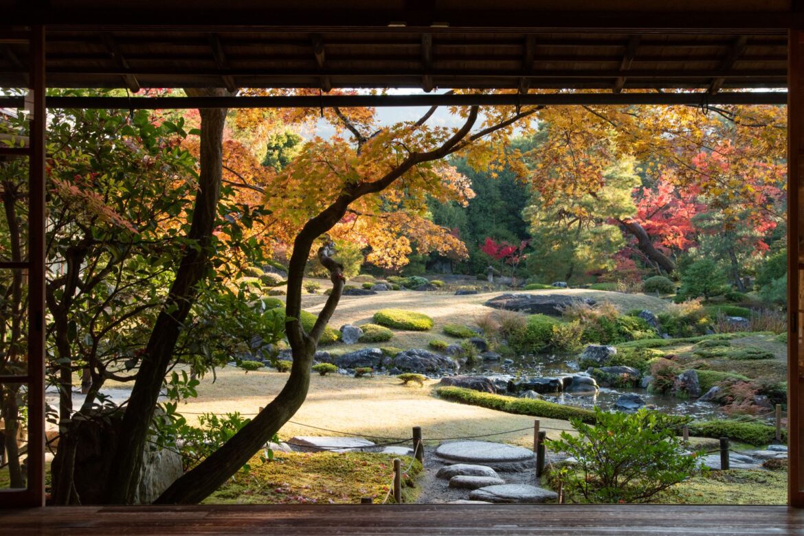 Seeing well-designed gardens could relax us almost immediately because we look at them differently Seeing well-designed gardens could relax us almost immediately because we look at them differently