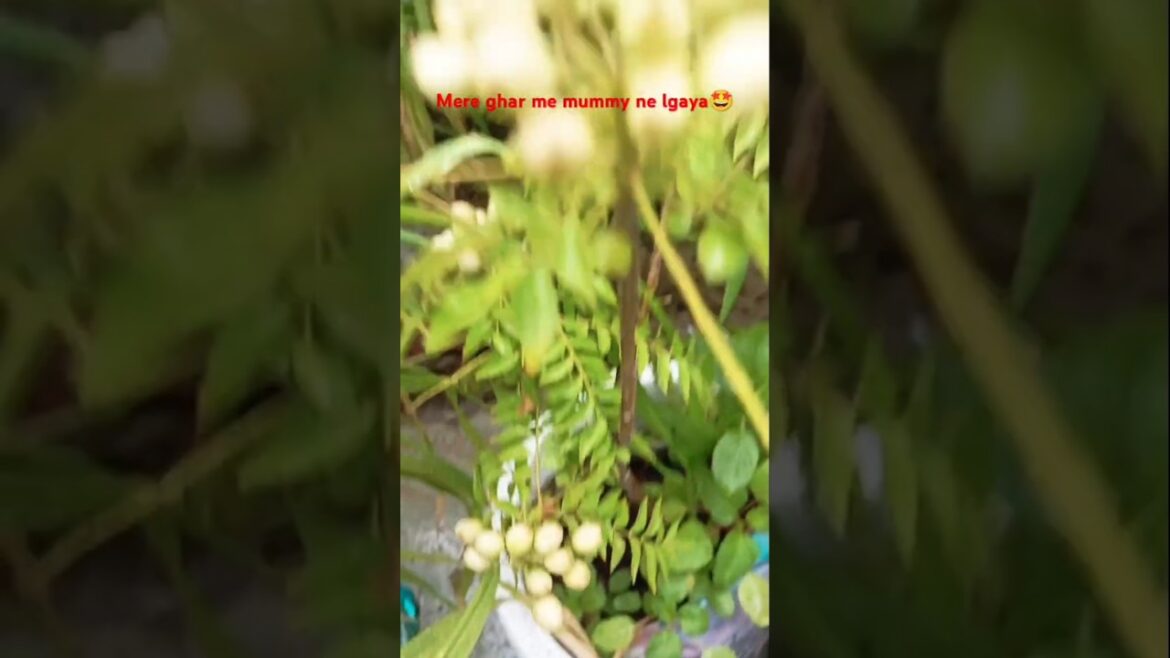 meri mummy ne kya lgaya😍😍😍😍 #shorts #trending #music #love #youtubeshorts #viralvideo #shortsviral