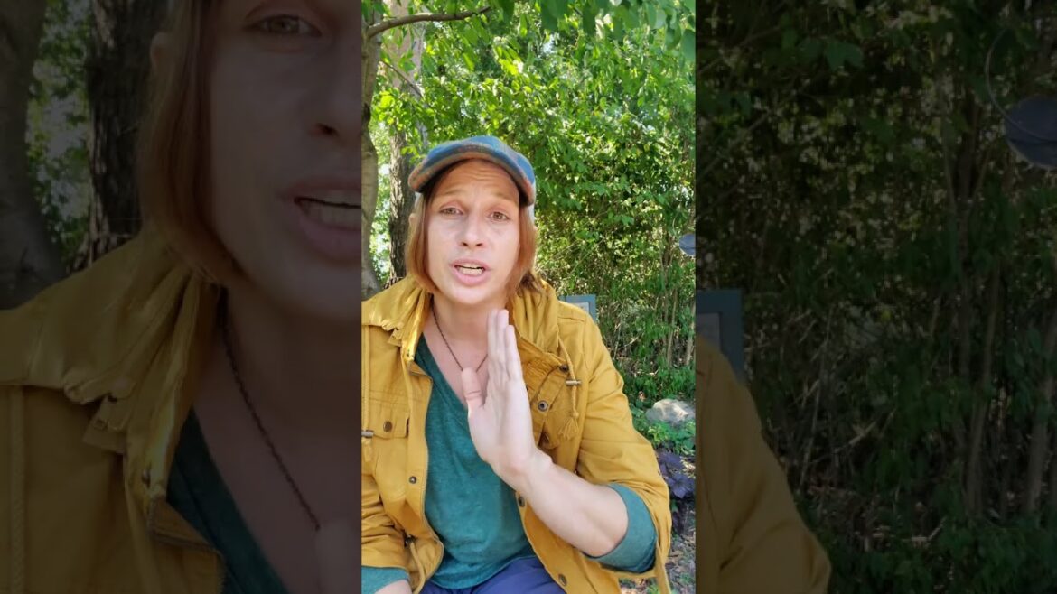 How to Create a Landscape Layout with Regulating Lines of Force How to Create a Landscape Layout with Regulating Lines of Force