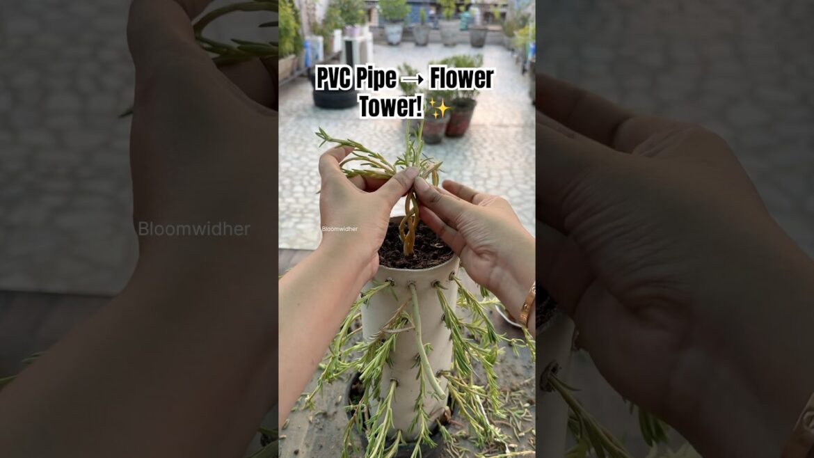 DIY Portulaca Tower 🌸 | Made from Waste PVC Pipe! #gardening #diy #shorts DIY Portulaca Tower 🌸 | Made from Waste PVC Pipe! #gardening #diy #shorts