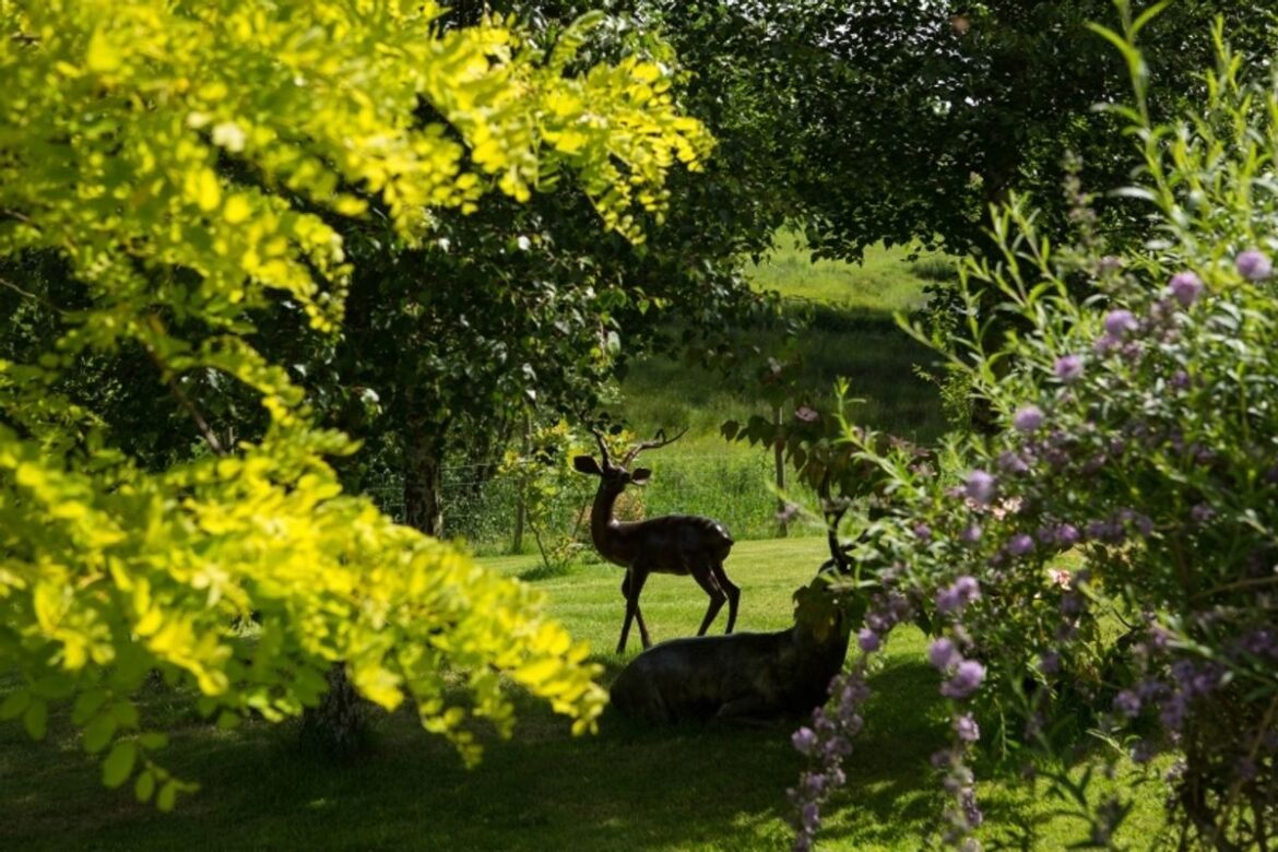 Edge Villa, near Shrewsbury. Photo: NGS