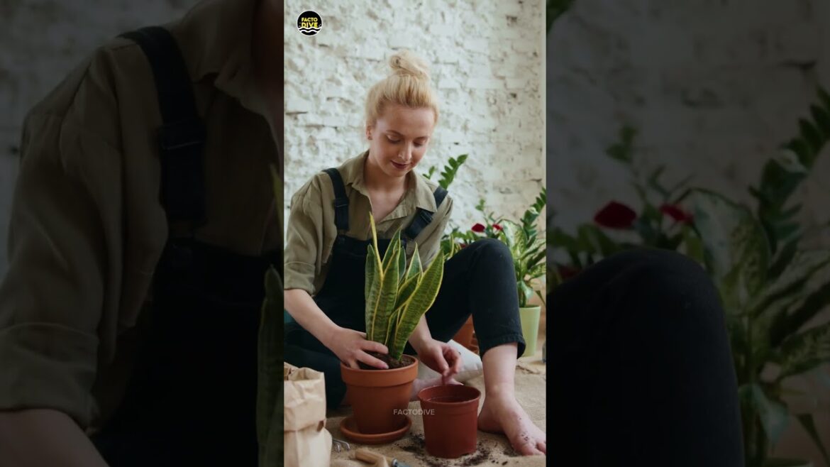 Add These 4 Plants to Your Life Today 💚#shorts  #facts