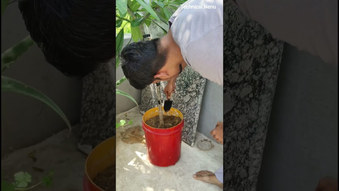 Reporting Plant||Technical Nenu||#shorts