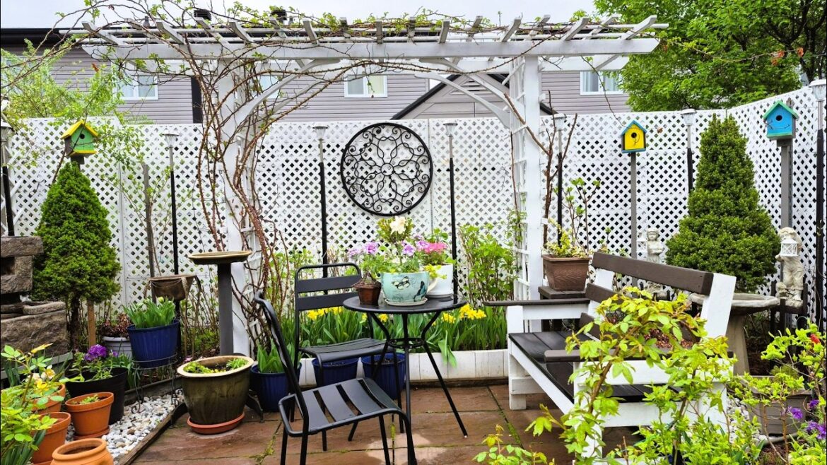 MAY | TINY BACKYARD GARDEN TOUR | FIRST NEW GARDEN TOUR OF THE SEASON #garden #plants #flowers #new MAY | TINY BACKYARD GARDEN TOUR | FIRST NEW GARDEN TOUR OF THE SEASON #garden #plants #flowers #new