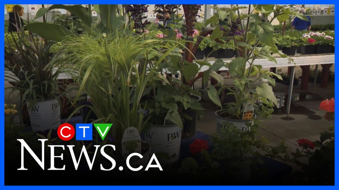 Tips for container gardening