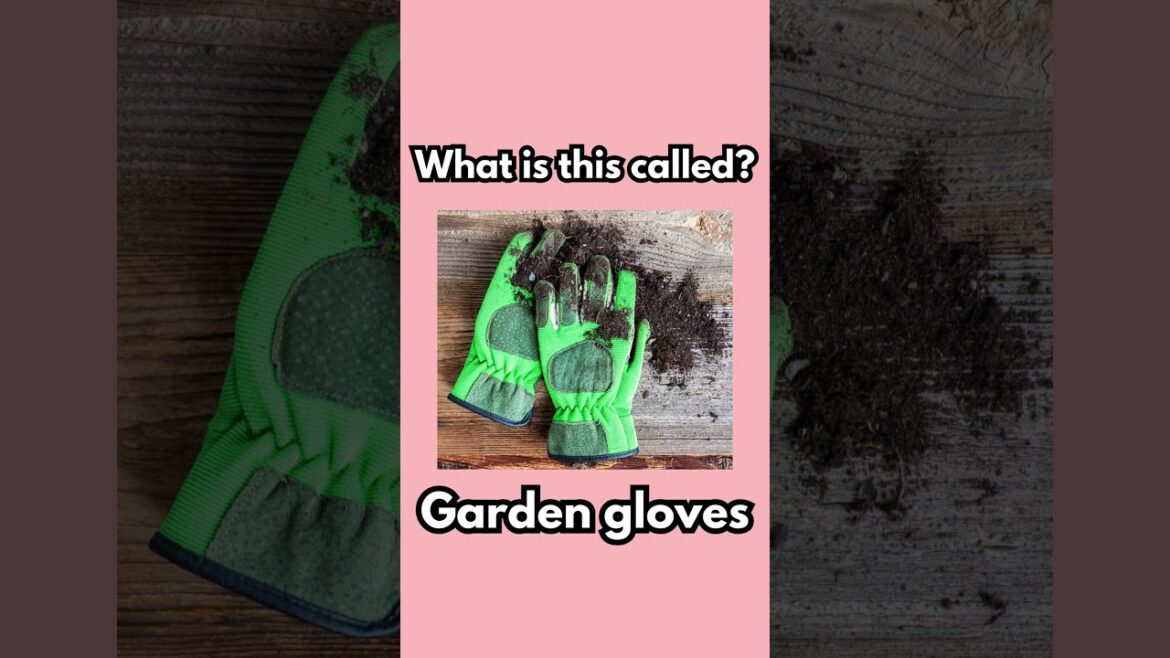 Can you name these gardening tools & equipments? #shorts #english