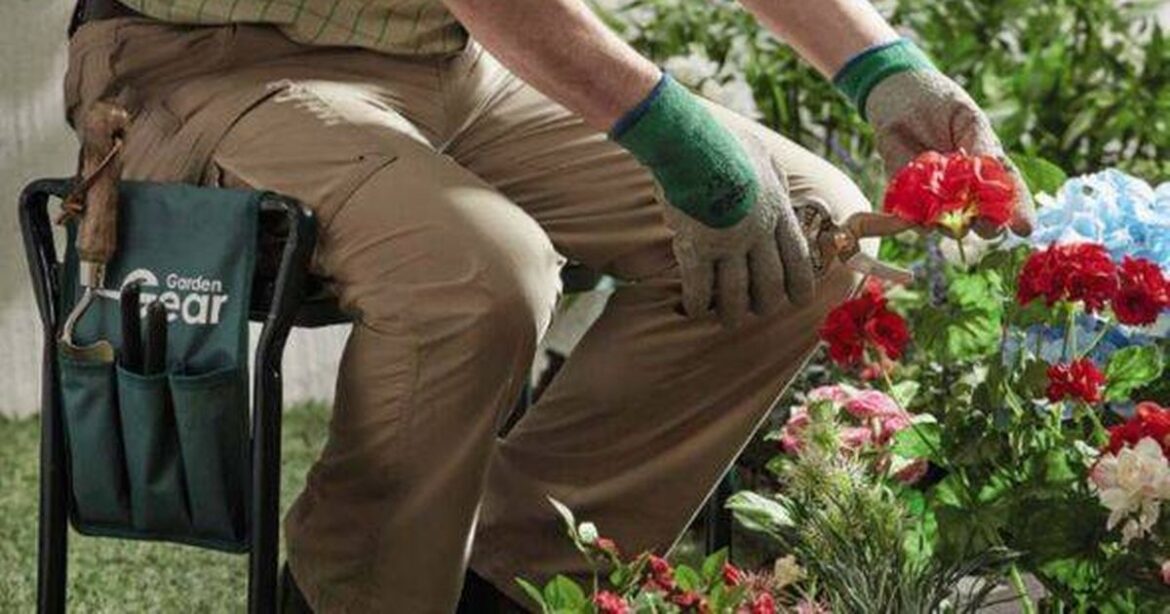 Gardeners praise foldable kneeler that makes planting and weeding jobs ‘comfortable’ Ipso logo