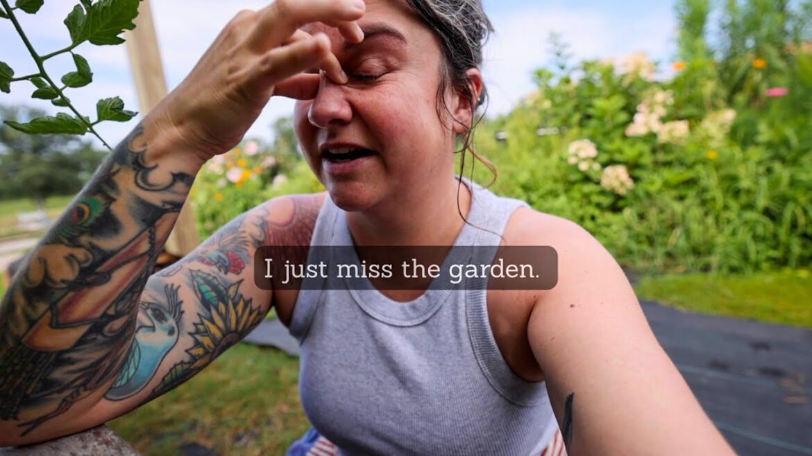 Just missing the garden (My favorite tomato row)