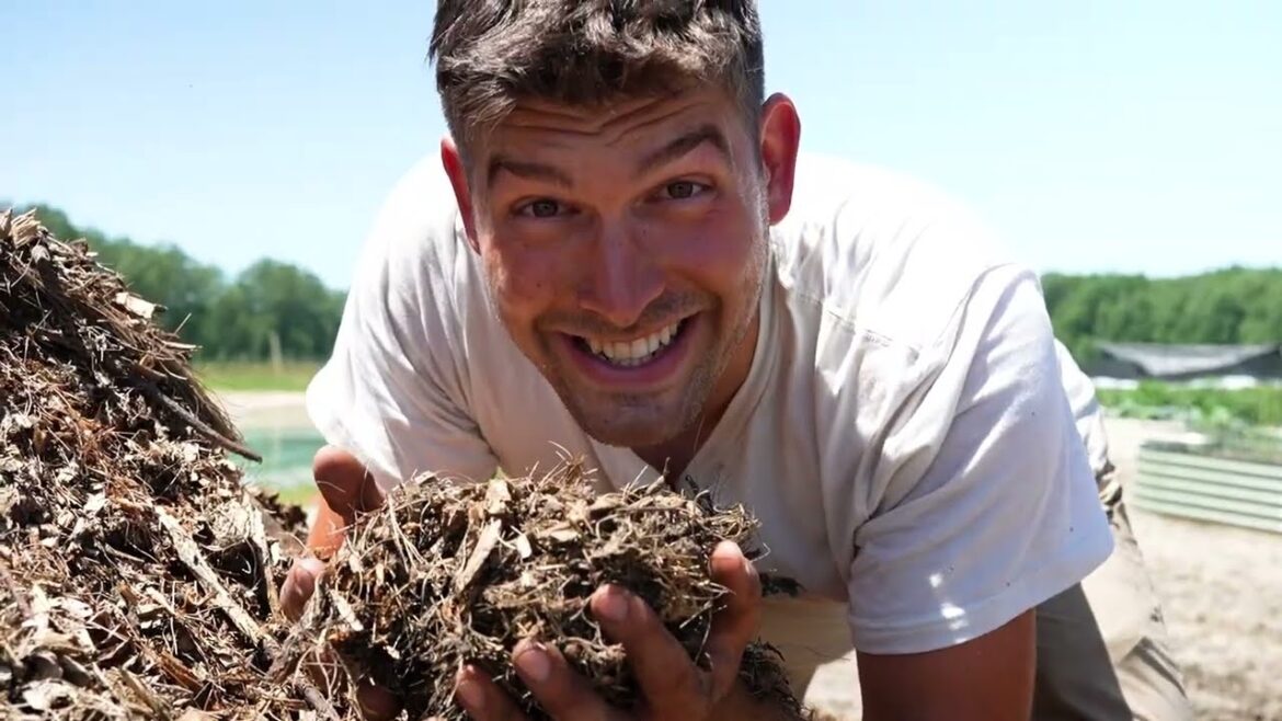 MIgardener: Most Gardeners are WRONG About This Nutrient Deficiency Most Gardeners are WRONG About This Nutrient Deficiency