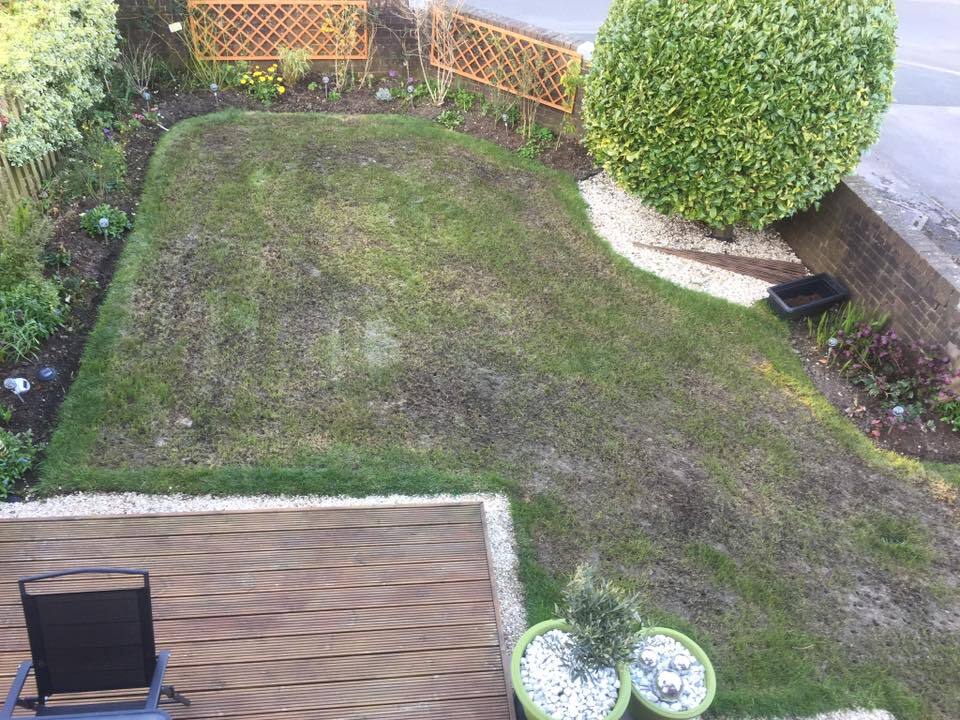 Aerial view of a garden with patchy grass, a wooden deck, and landscaping.