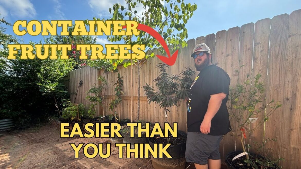 Growing Fruit Trees In Containers On Easy Mode (Step by Step)