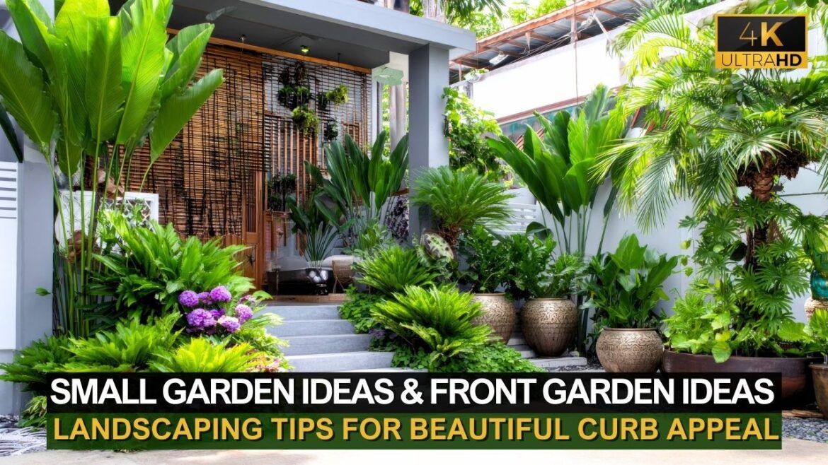 Small Garden Ideas & Front Garden Landscaping Tips for Beautiful Curb Appeal