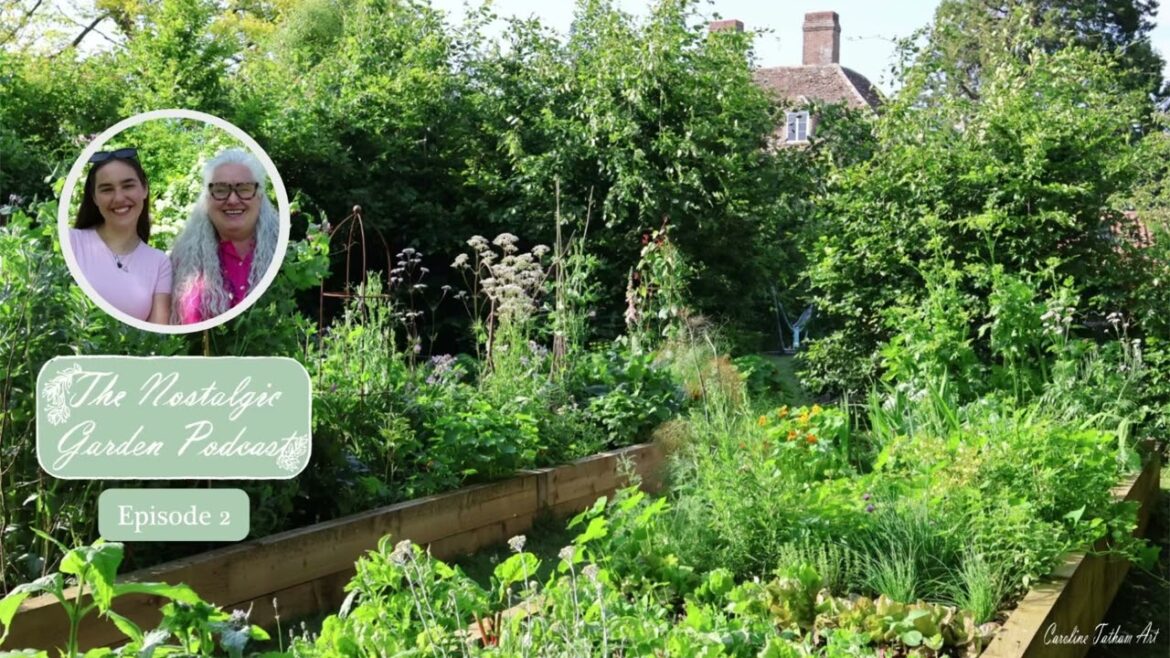 24 June 2025 24 June 2025