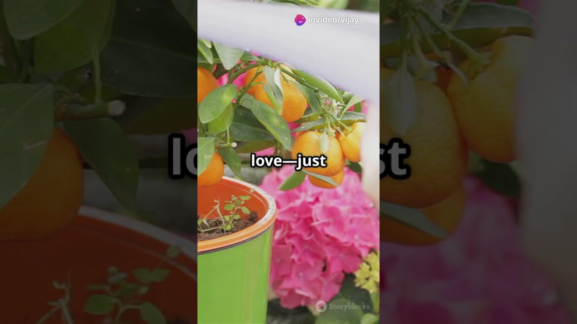 Grow the BEST Fruit Garden EVER? Grow the BEST Fruit Garden EVER?