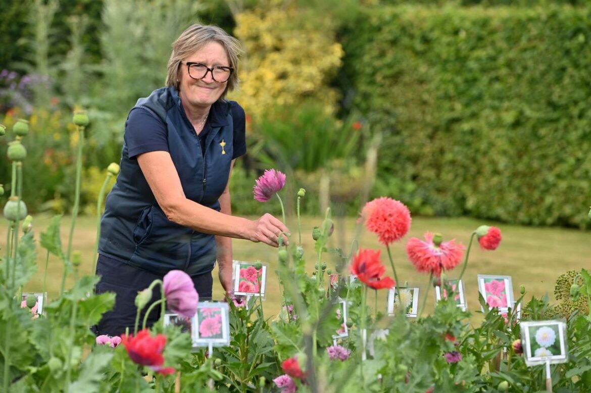 Juliet Banks in her garden Stream Barn that is opening as part of the trail this weekend.