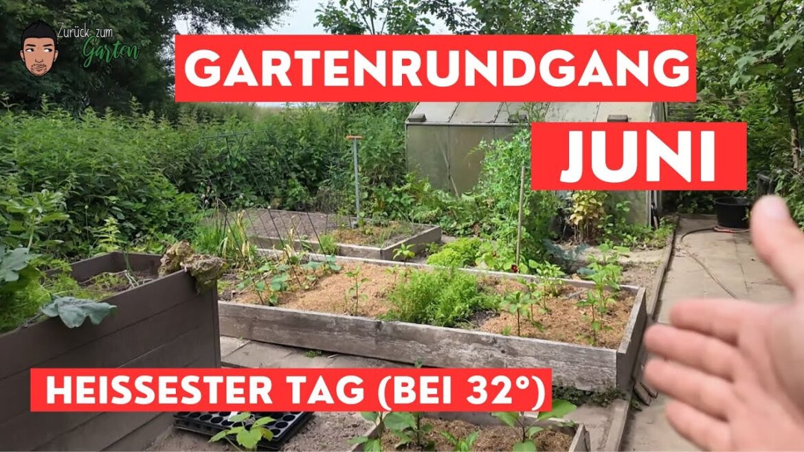 Gartenrundgang Mitte Juni Gemüsegarten, Stauden und Hochbeet