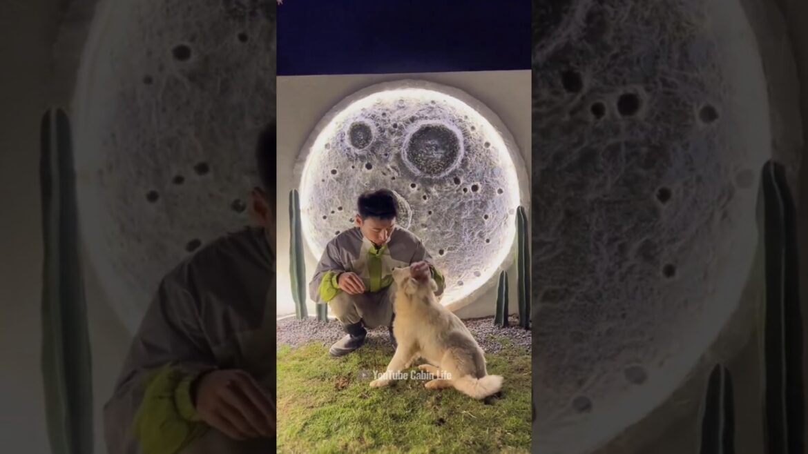 I Rebuilt a New Home from the Ruins of the Old House part 6