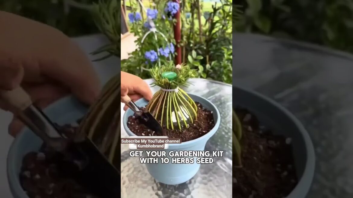 Garden ideas for your beautiful garden design in your backyard and Herbsgarden🌿 #gardening #ytshorts